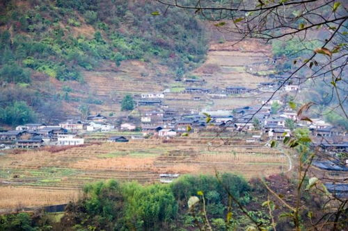 在较高黎贡山脚下以造城之势打造了一个能够安放梦想的世外桃源——雅居乐云南原乡