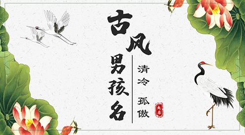 当五行八字遇上Z世代审美
