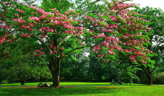 植物园优惠都是假把式