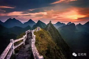每日8点，免费开放，你准备良好了吗？错过又要等一年！