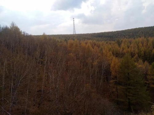 嶂石岩摄影师的天堂