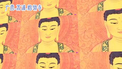佛家法号名字有哪些好听又文雅的呢？