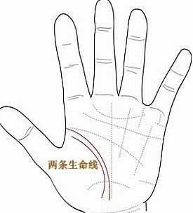 如何通过手相顺口溜来解读大师的手相？