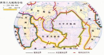 一、生肖星座与半岛的命运之律