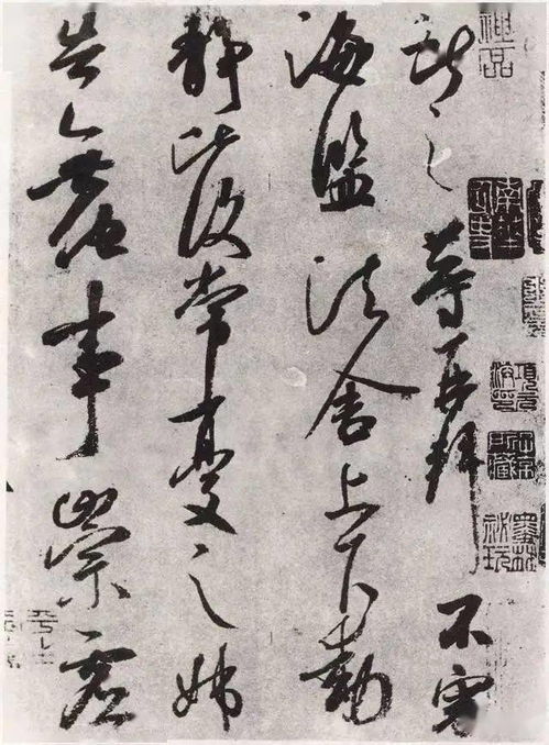 解读帖雅轩：名字的背后