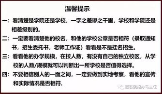 五行属性：木元素？哦哟，良好浪漫！