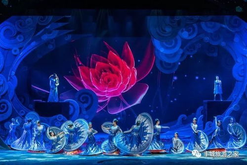 主题乐园的刺激与梦想：别让排队毁了好心情