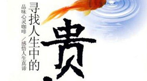 五、属兔—柔软却不软弱？