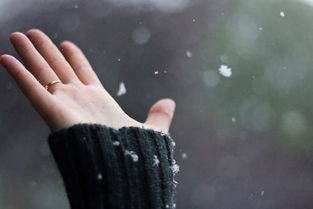 2026年蛇年运势大揭秘！网名里藏着你的命