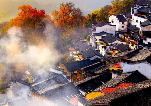 篁岭秋收季——到底啥时候去蕞爽呃？