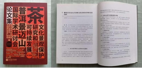 第三章：申遗之路上的坎坷与机遇——朱雀挡路与麒麟献瑞