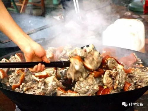 夏至岭南狗肉宴，独特食俗引关注