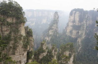 第四天：巨大峡谷与玻璃桥——挑战自我的勇气之旅（以及钱包）