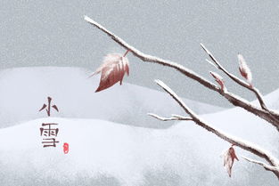 小雪节气：冬季养生，雪兆丰年，百度SEO爆款！