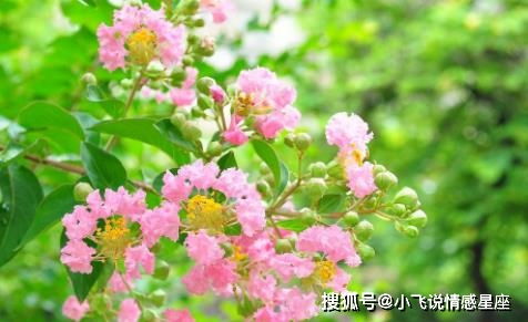 流年大揭秘！2026年这些月份要当心