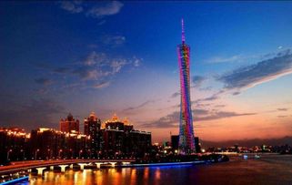 花莲机场核心枢纽——一场“乱中有序”的奇幻旅程