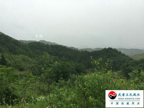 岑溪哪里有风水大师学,岑溪哪里有风水大师学
