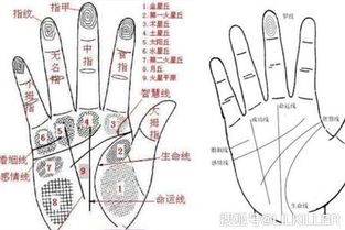 惯与中指根部的特殊情况