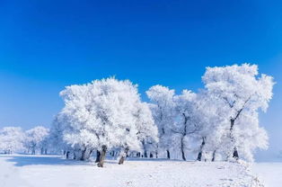 雾凇岛：冰雪中的仙境
