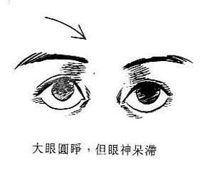 易经如何通过面相图解来判断雀子面相特征及命运？
