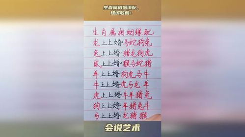 生肖配对算命网站如何根据姓名和生肖预测姻缘？