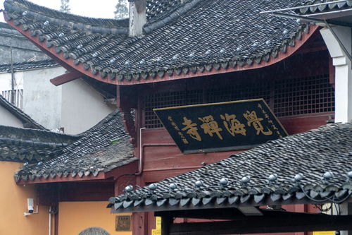 雕花较大楼（春在楼）：精湛工艺与历史持续发展韵味交融