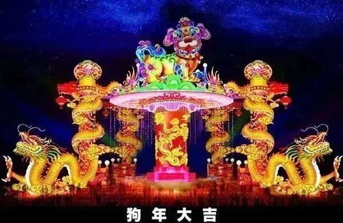 2026年避坑指南
