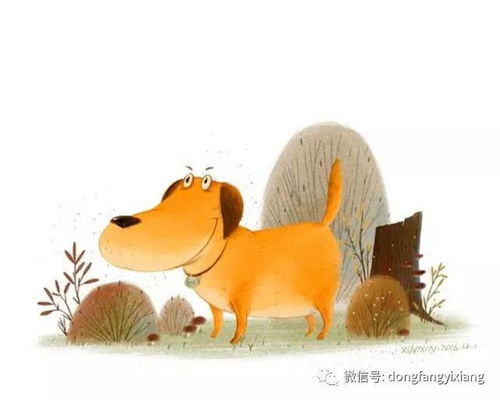 周一好运攻略：5月18日四月初二，十二生肖运势如何？注意事项有哪些？