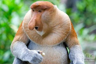 他们的孩子更气人！