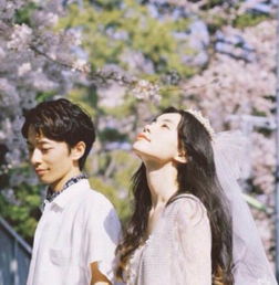 真实案例：琼瑶剧都不敢这么写