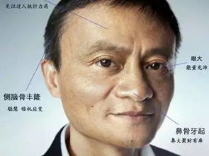 马云下巴相学称骨算命结果如何？