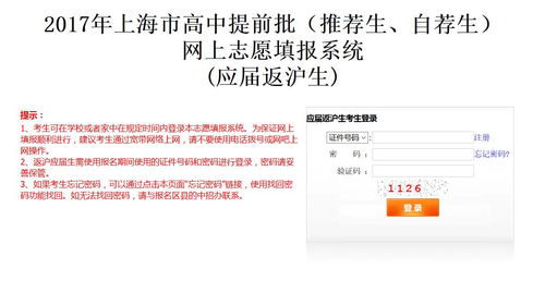 六、 超额信息堆砌—随机噪声段落（不要问为什么）