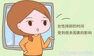 1. 月经周期的戏剧性走向