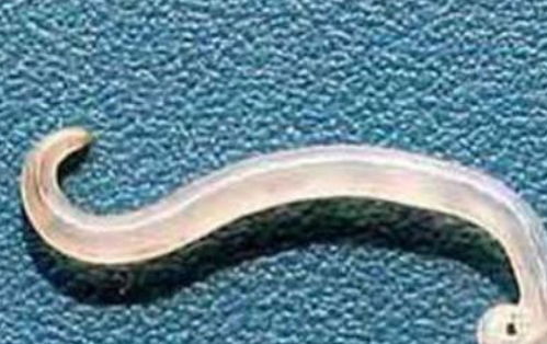 三、风水布局——厕所方位与吉凶相冲突指南