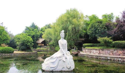 惯与拍照