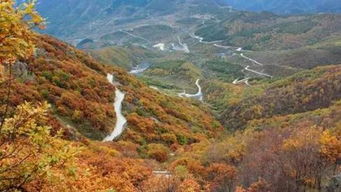 黎黄陂路秋色怎样探索？