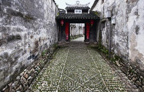 五、 离奇绑架案背后的神秘暗流