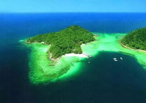 第三天：海岛游，晒成黑炭