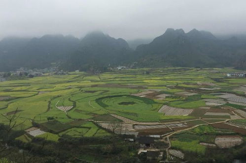 4.1 街头小吃，琳琅满目