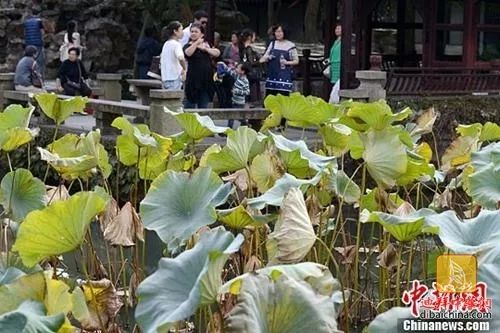 寒露习俗大揭秘：赏菊、饮蟹、吃梨、登高、秋钓、晒秋，六秋韵事一网打尽！