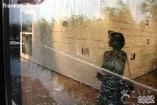 玻璃渣里捡到的快乐：当旅游变成大型翻车现场