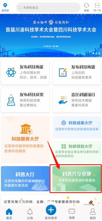 佛系购票的魔幻现实