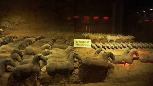 一、邂逅霸陵：探寻西汉皇陵的秘密 (啊，这地方真远！)