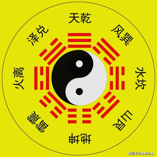 八字双官运和走申运分别代表什么含义？