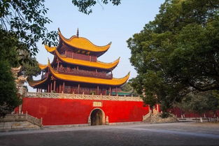 六、穿越时空的对话与探秘之旅