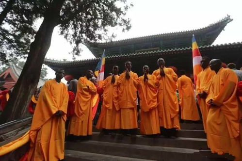 藏经阁：武林较高手最想去的