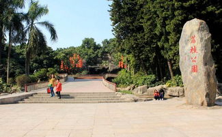 森林公园：大厂的后花园