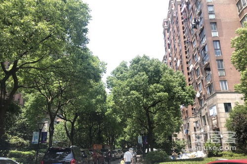 临汾一中周边独特的旅行活动