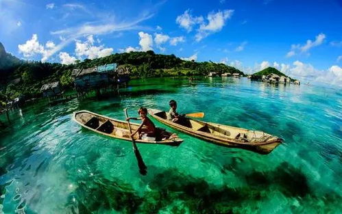 浮潜黑幕：海底捞针的体验