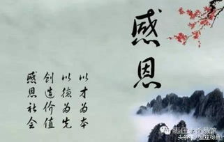 命运之轮转动，吉凶祸福岂能由人力更改？